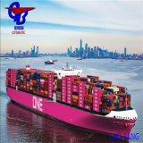 Shipping-Service-Logistics-Shipping-Forwarder-From-China-to-Middle-East-Ports.jpg