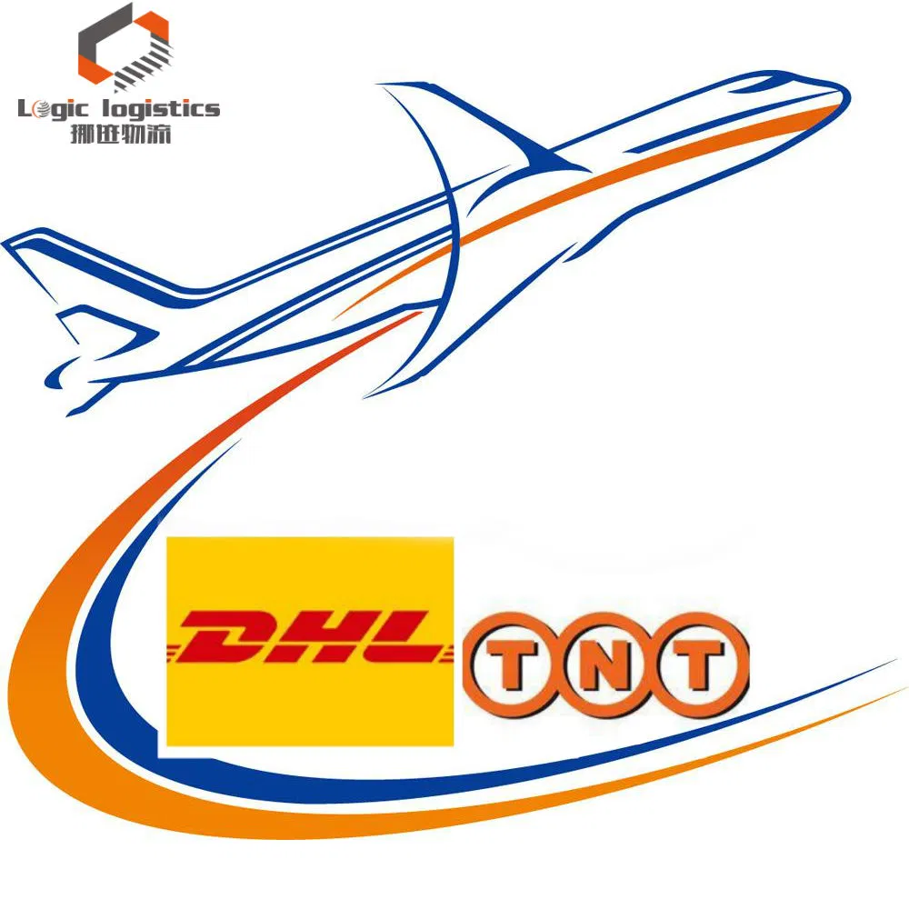 1688 Agent Shipping Freight Forwarder Service with Dropshipping From China to USA Europe