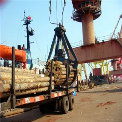Here are some key aspects of the role of port agents