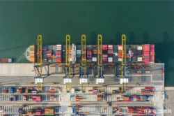 Key aspects of cargo agents
