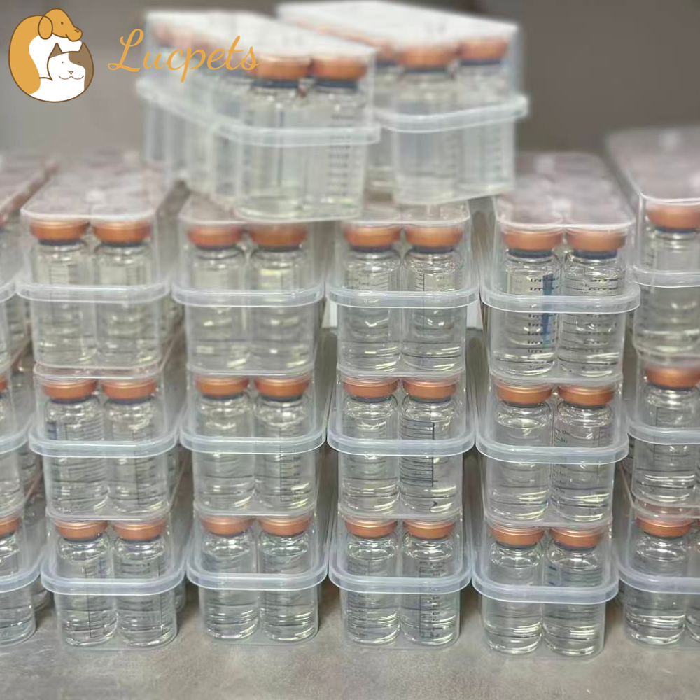 FIP Injectable GS-441524 Distributor: Trusted Source for Your Cat's Treatment