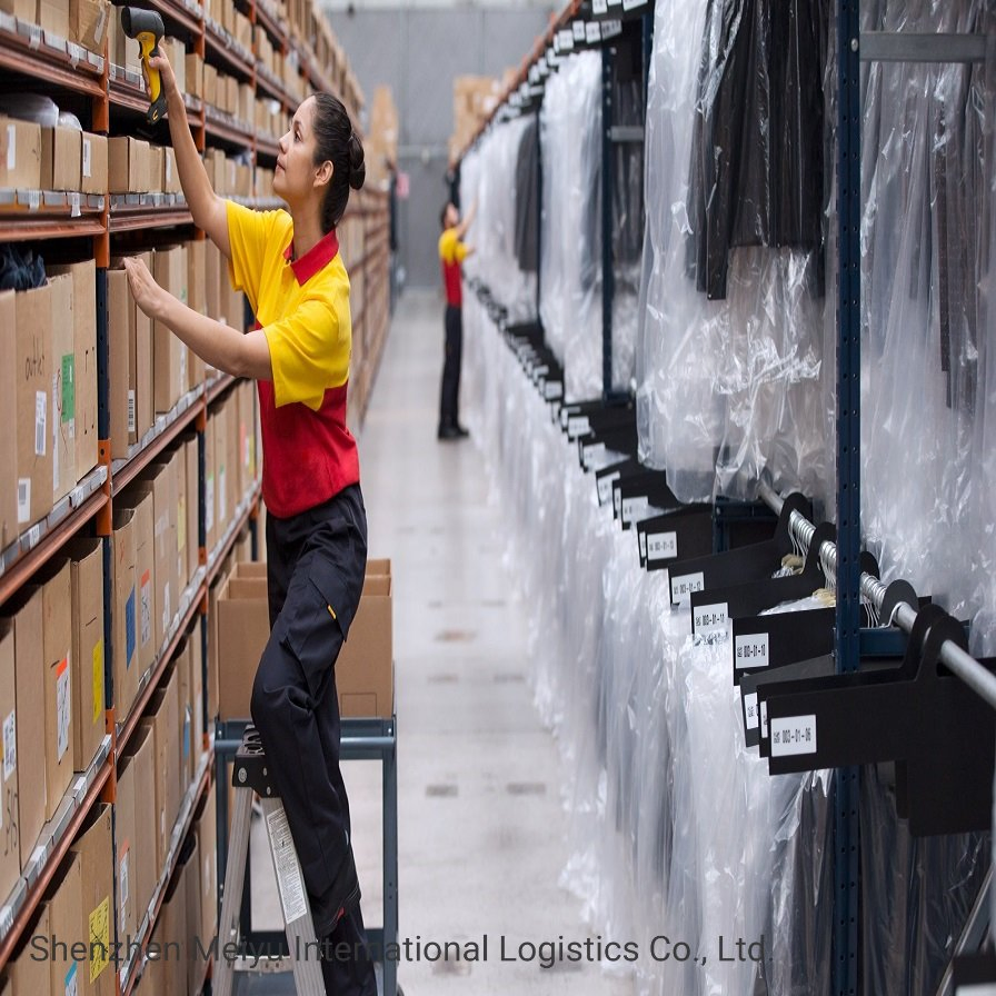 5 Days Fast Delivered Advantage Good Solution DHL Shipping to Europe