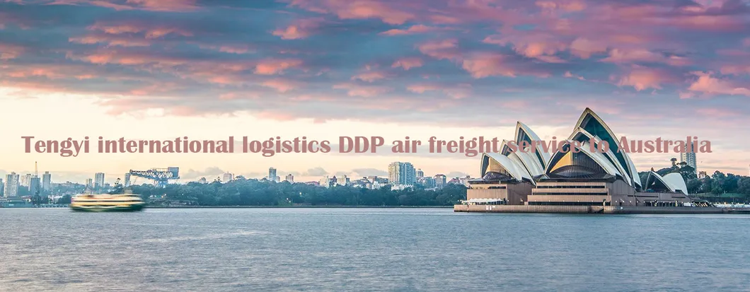 Air Cargo Logistics DDP Services to Us/UK/Europe/Germany/France/Nepal Worldwide with Shenzhen Shipping Agent