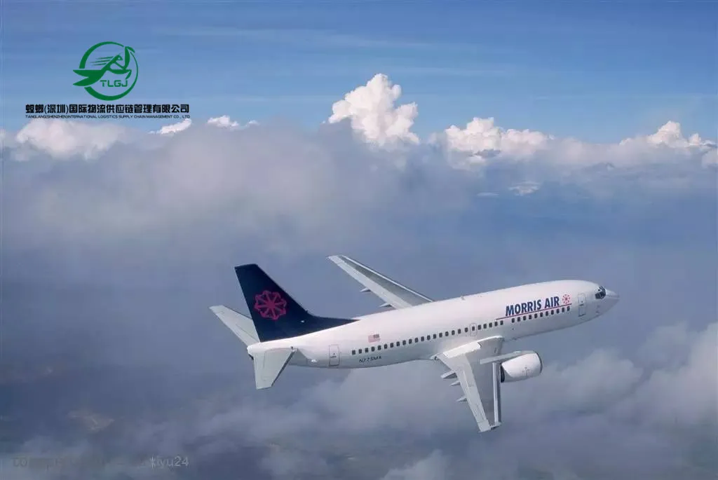 Air Freight China to USA Frieight Forwarder China to USA Fast Shipping Express China to USA