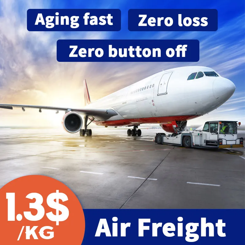 Air Shipping Agent/ Door to Door Transport Service/ DHL, UPS, FedEx TNT /From Shenzhen to Martinique