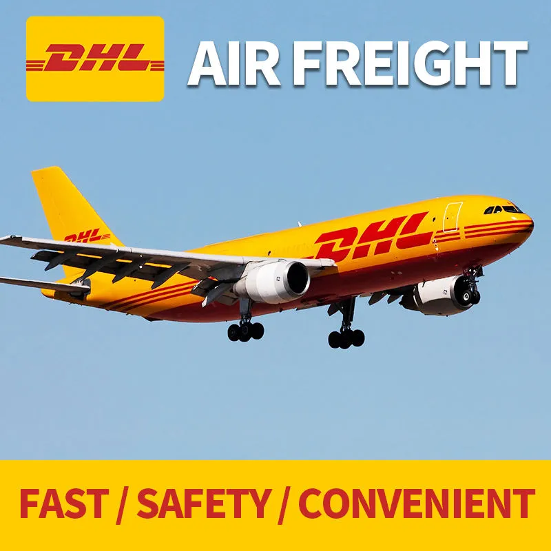 Air Shipping Agent/ Door to Door Transport Service/ DHL, UPS, FedEx TNT /From Shenzhen to Martinique