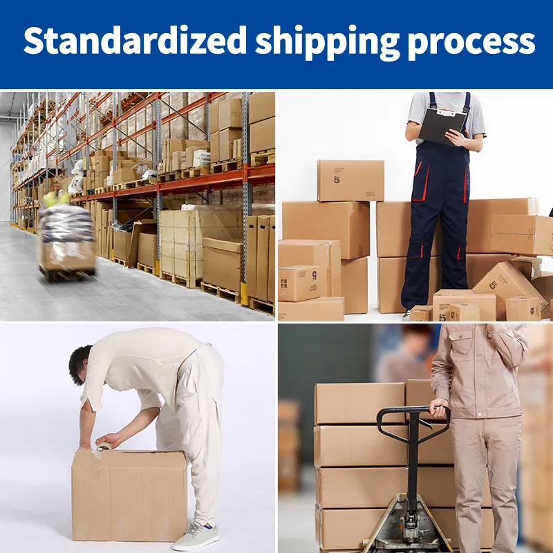 Air Shipping Agent/ Door to Door Transport Service/ DHL, UPS, FedEx TNT /From Shenzhen to Martinique