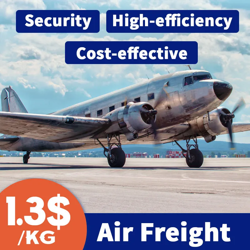 Air Shipping Agent/ Door to Door Transport Service/ DHL, UPS, FedEx TNT /From Shenzhen to Martinique