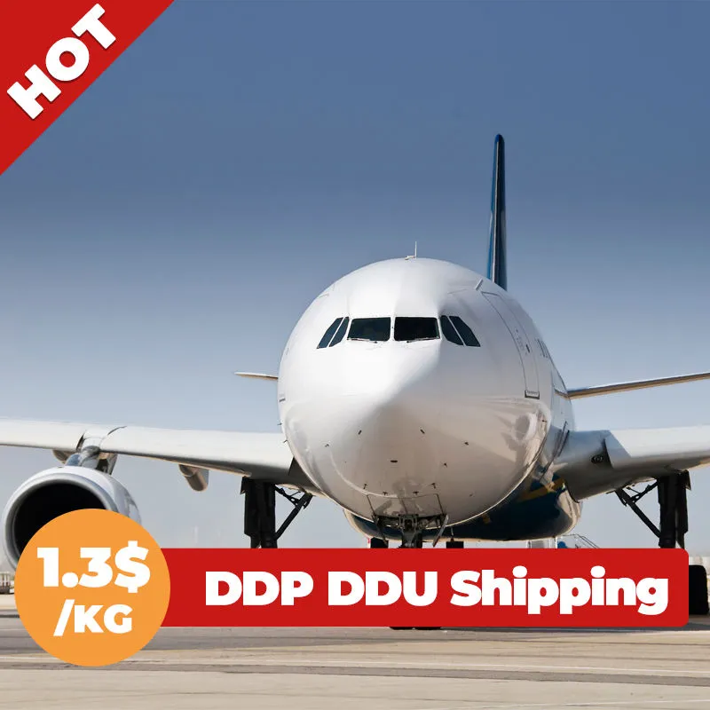 Air Shipping Agent/ Door to Door Transport Service/ DHL, UPS, FedEx TNT /From Shenzhen to Martinique