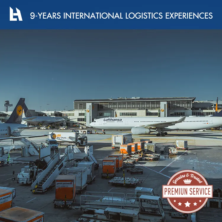 Amazon Fba Service to USA Shipping Labeleling Freight Comapany From China Fba Sea Canada Line DDP Agent Air UK Kargo Germany