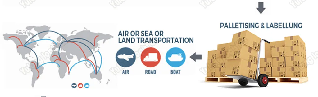 Best Sea Shipping Agent Service