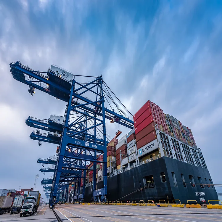 Burma/Burundi/Cameroon/Canada/Cayman Is. /Central African Republic/Chad/Chile Door to Door From China Fba Shipment / Amazon Door to Door DDP