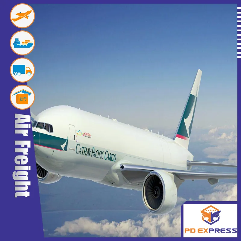 by Air Sea Express DDU DDP Service to Italy and Amazon