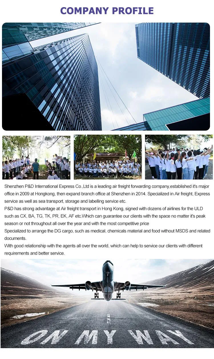 by Air Sea Express DDU DDP Service to Italy and Amazon