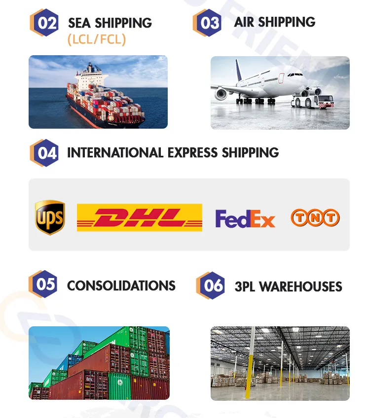 Cargofriend Inspection Shipping Rate Sea Zim Sz to Canada Yyz6 Amazon Warehouse Sea Shipping Agent Company China Forwarder