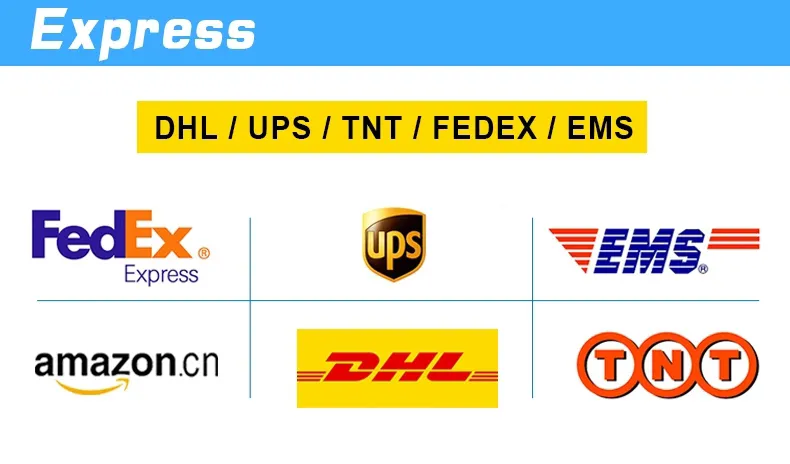 Cargofriend Reliable Freight Forwarder From China Qingdao to Tolleson USA DDP Freight Agents Sea Shipping Service