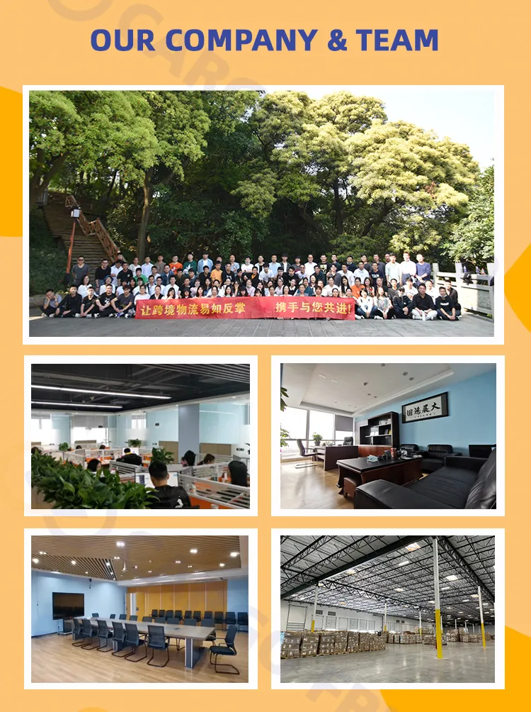 Cargofriend Reliable Freight Forwarder From China Qingdao to Tolleson USA DDP Freight Agents Sea Shipping Service