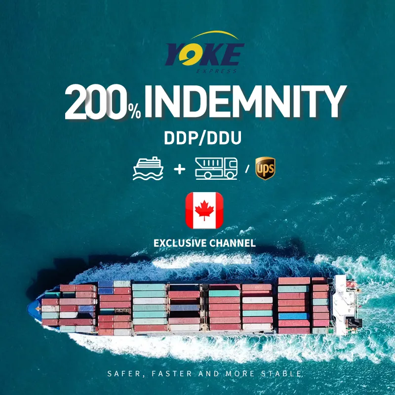 Cheap LCL/FCL Sea Container Shipping to Canada From Shanghai/Ffoshan/Shantou China