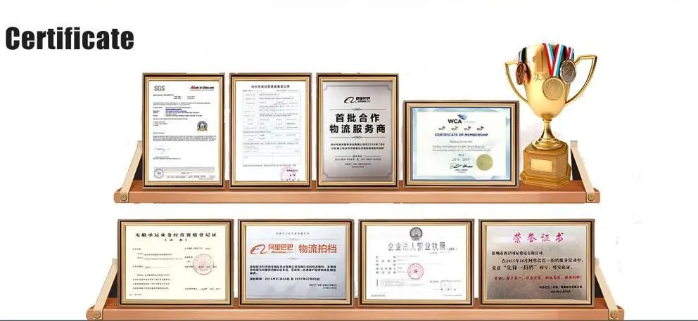 Cheap Sea Freight From China to Slovakia in Best Shipping Logistic Service