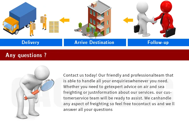 Cheapest Sea Freight Forwarder From China to USA/UK/Germany/Netherlands Cargo Services