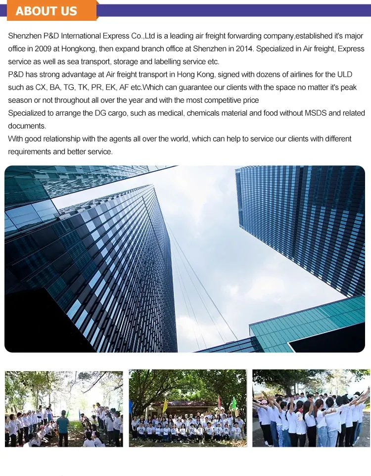 China Agent Service Air Shipping Freight Forwarder to Zimbabwe/Ethiopia