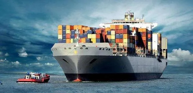China DDP Freight Forwarder Sea Freight Shipping Rates From China to Canary Islands/Worldwide