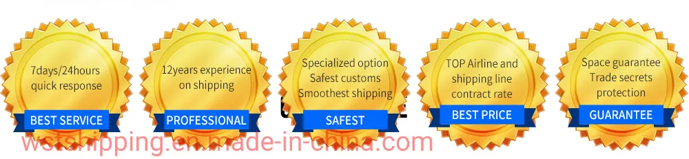 Door to Door Sea Ocean Freight From Guangzhou China to Tema Ghana Shipping Services DDP