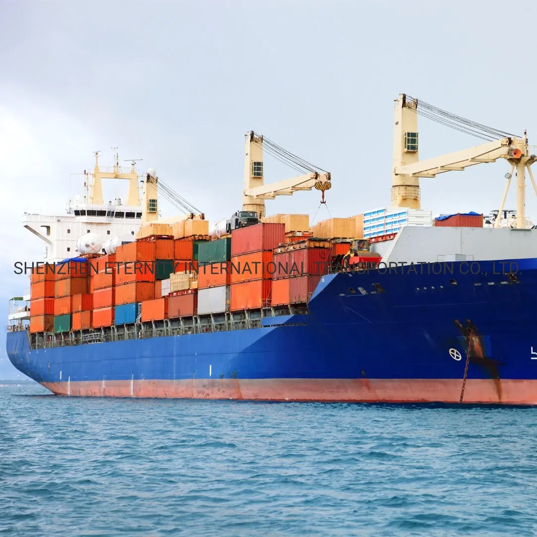 China Ocean Freight Forwader From Shenzhen Guangzhou Ningbo Shanghai to Port of Spain /Port Rashid /Port Said/Port Stanley /Port Sudan /Port Suez