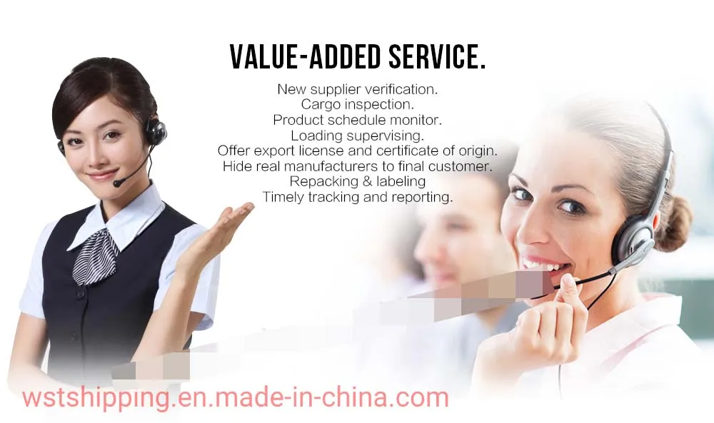 Door to Door Sea Ocean Freight From Guangzhou China to Tema Ghana Shipping Services DDP