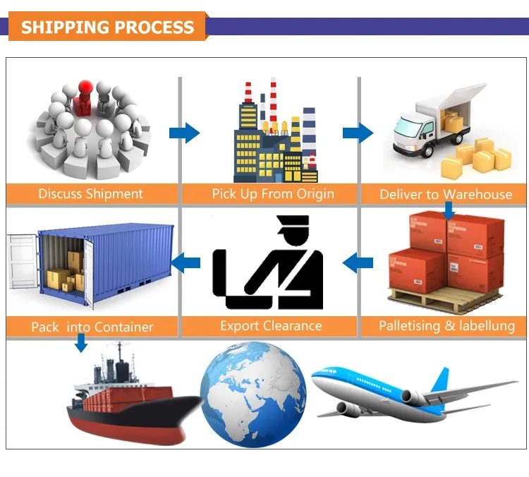 China Shipping Agent Logistics Service Sea Shipping to Iceland