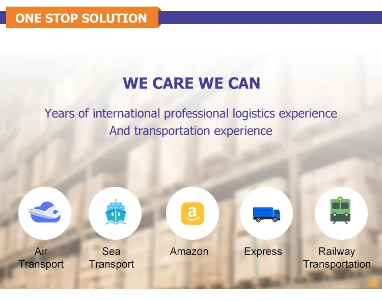 China Shipping Agent Logistics Service Sea Shipping to Iceland