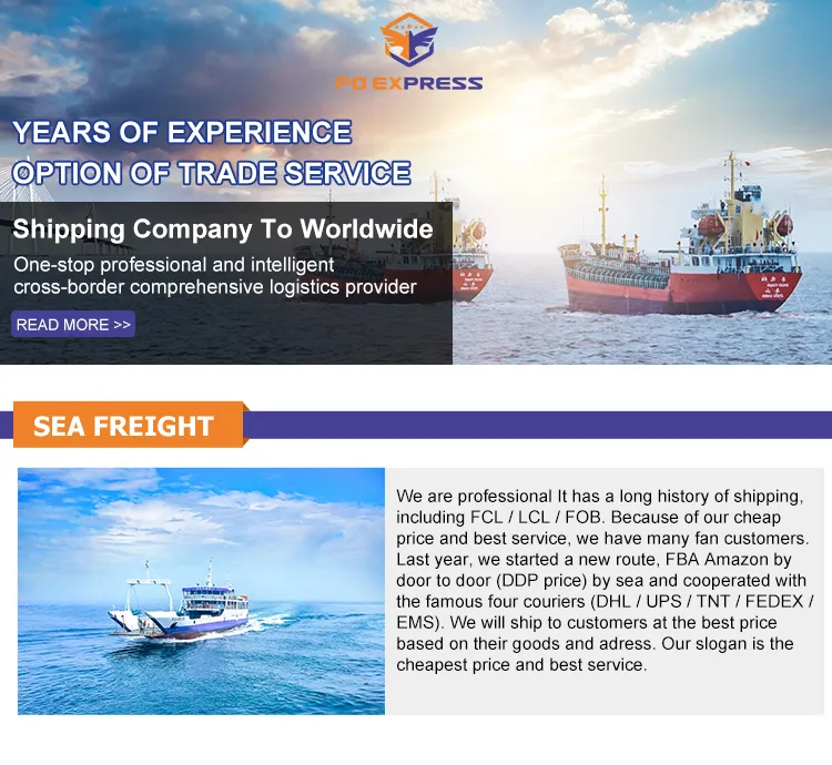 China Shipping Agent Logistics Service Sea Shipping to Iceland