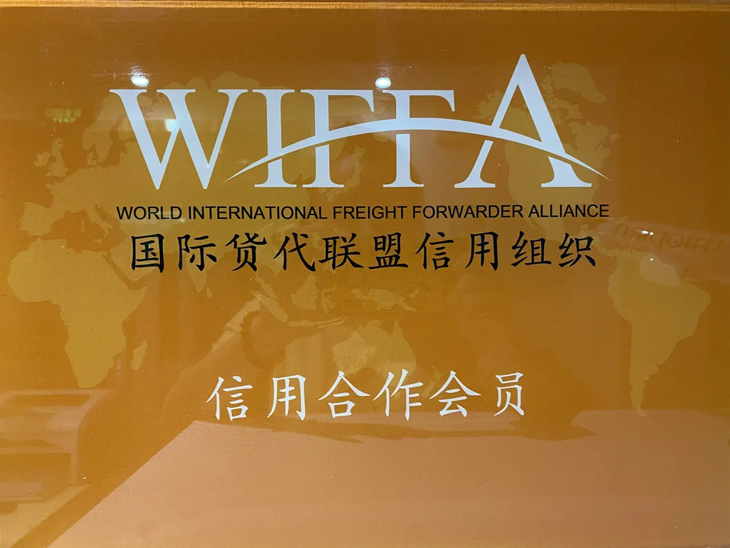 China to Slovakia Sea/Air Freight Courier DDU DAP EXW Coo Freight Forwarder
