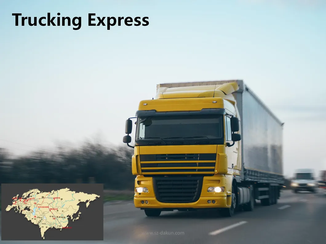 Competitive DDU/DDP/Budapest Hungary Sea Freight