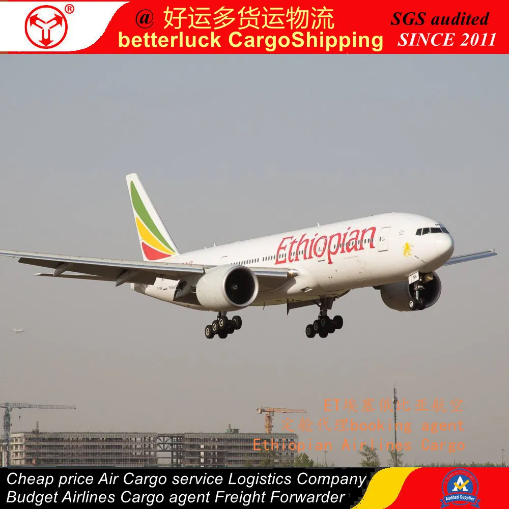 Container Cargo China to Mayumba Gabon best Shipping agent service