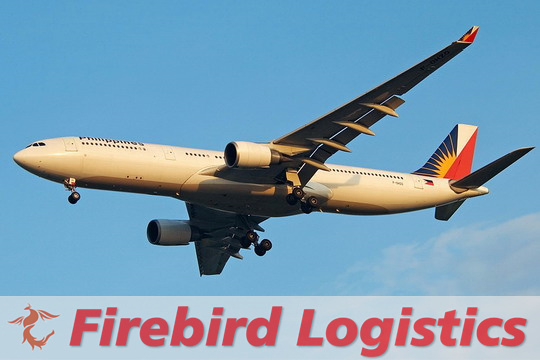 DDP and DDU Special Line Freight Forwarder Shipping Cargo Shenzhen to Philippines