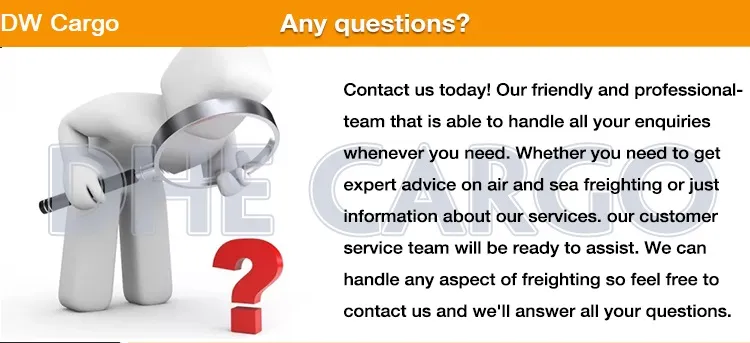 DDP Msc Shipping From China to Namibia China to Colombia