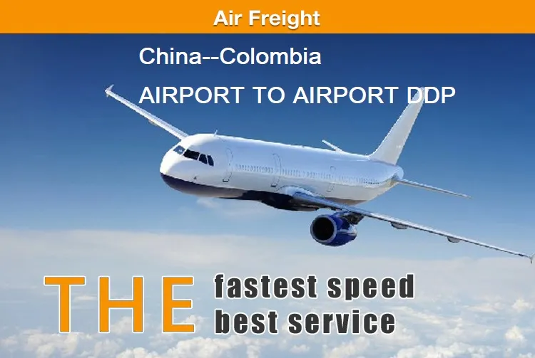 DDP Msc Shipping From China to Namibia China to Colombia