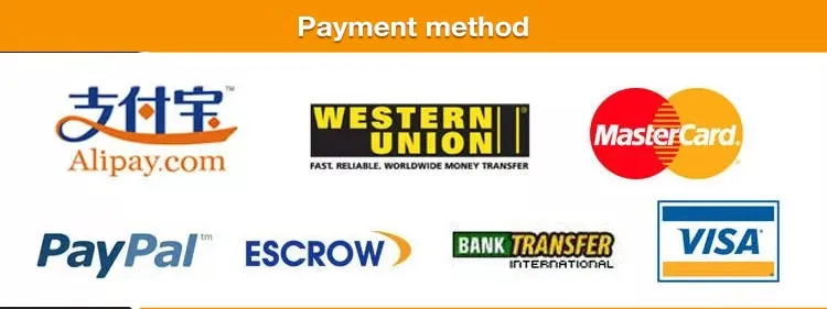 DDP Msc Shipping From China to Namibia China to Colombia