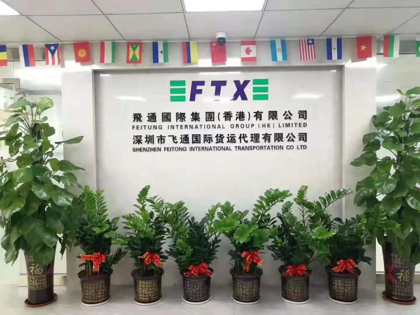 DDP Sea Cargo From Shenzhen/Shanghai/Guangzhou to Austin USA