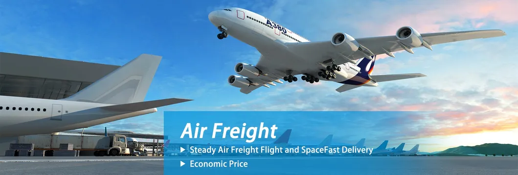 DHL Express From China to Turkey Kuwait Middle East Countries