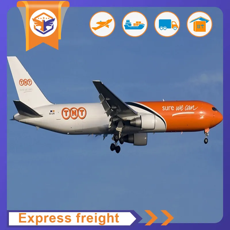 DHL UPS FedEx TNT Aramex EMS Professional Shipping Agent Express Service From Shenzhen to Pitcairn Island