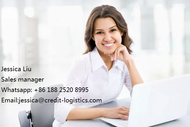 Discounted Ocean Freight Shipping Sea Cargo Best Sea Shipping Agents to USA/Europe/UK