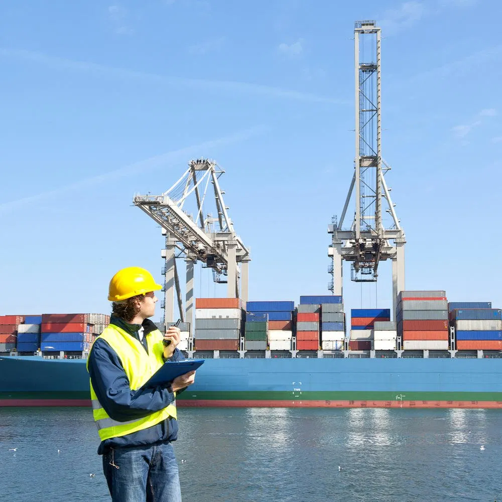 Discounted Ocean Freight Shipping Sea Cargo Best Sea Shipping Agents to USA/Europe/UK