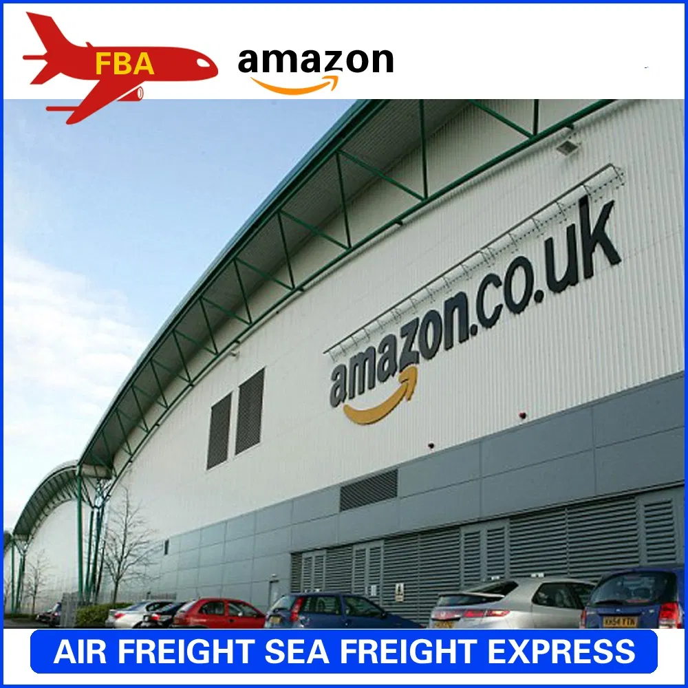 Express Door to Door Fba Amazon DDP DDU From China to Saint Lueia/Saint Vincent /Samoa Eastern /Samoa Western /San Marino /Sao Tome and Principe Aircargo Forward