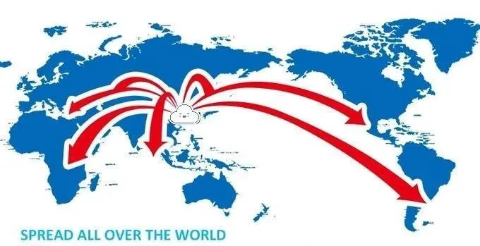 Fast and Cheap International Sea Freight Shipping From Shenzhen to Livorno/Colon Free Zone/Santos