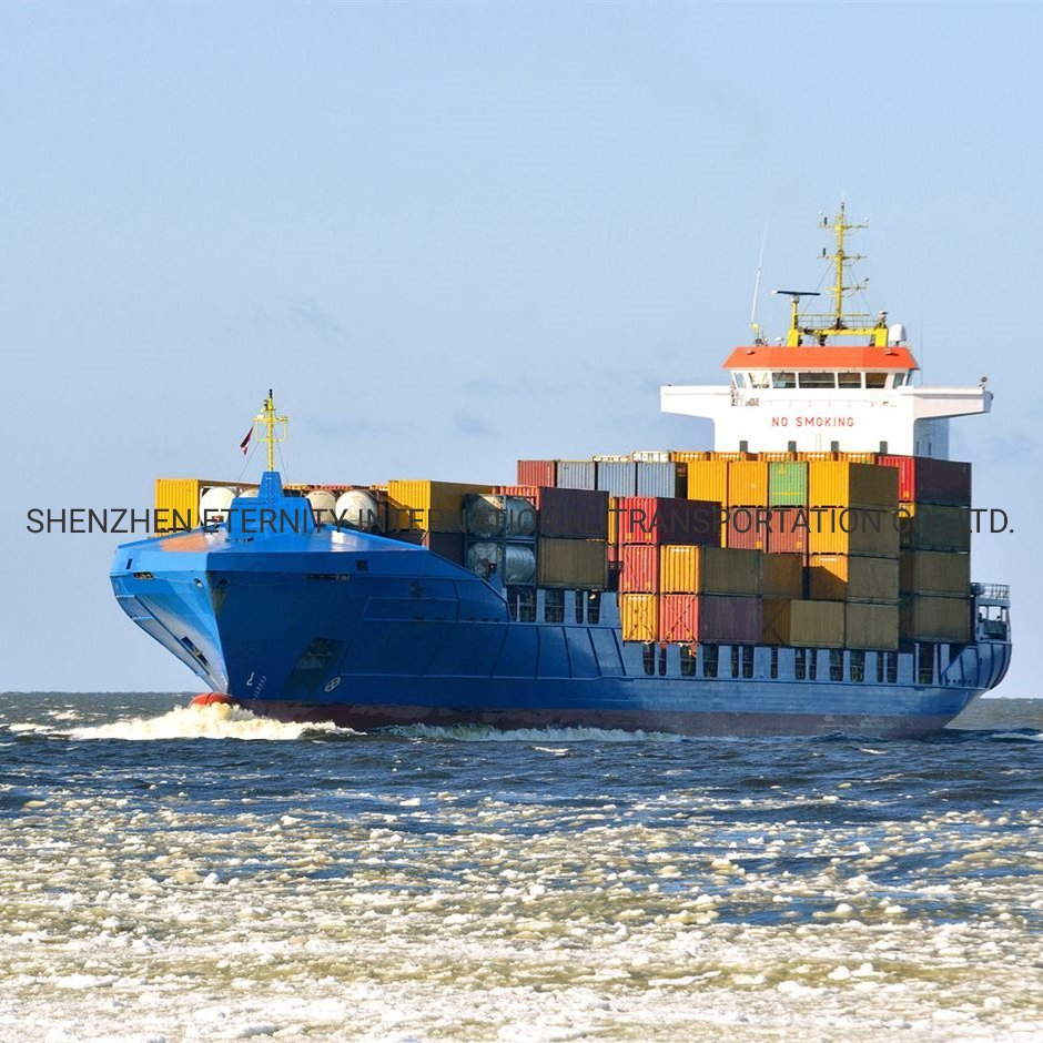 FCL LCL Ocean Freight Shipping Container From Fude Fuyang Pinghu Dongyang Linan Jiangshan Fenghua Zhejiang China to Port Au Prince Haiti Bordeaux Boston