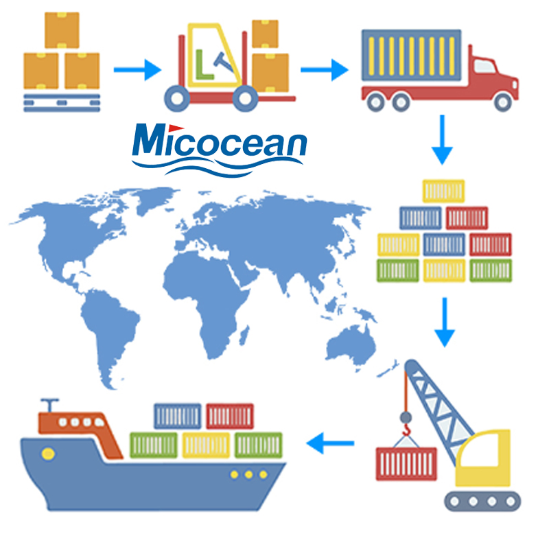 FCL / LCL Sea Freight Service From China to Reunion Island