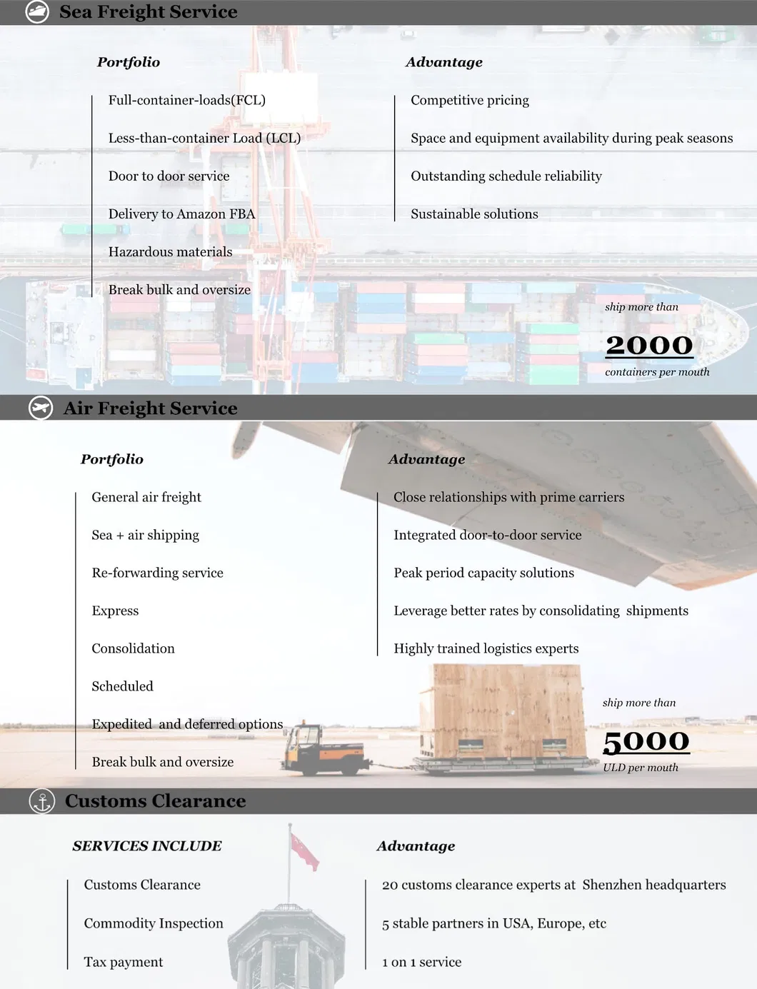 FCL LCL Sea Shipping From China to Doha Qatar