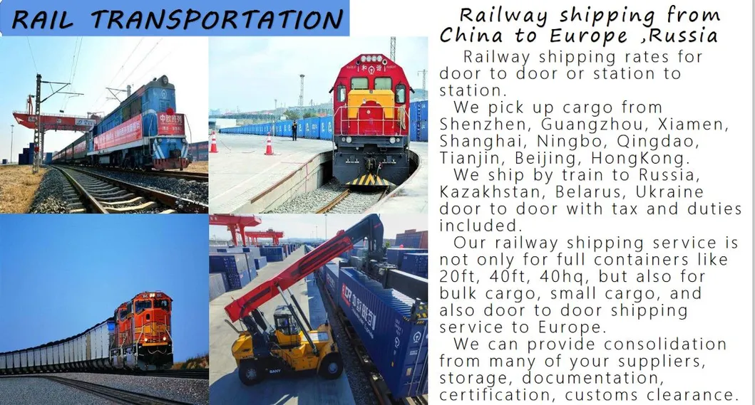 Freight Forwarder LCL Sea Shipping Agent Cost From China to Colombo Sri Lanka